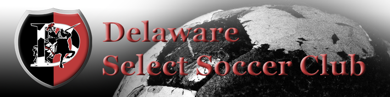 dsscworldbanner